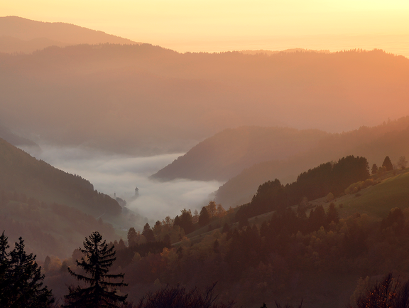 Schwarzwald Blick