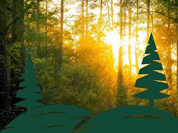 Häufig gestellte Fragen bei hübner